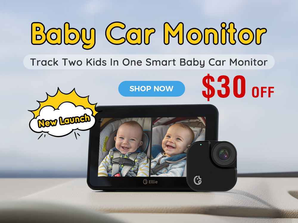 Baby Car Monitor